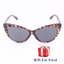 Модный мода прохладный Multi-цветов солнцезащитные очки Cestbella дешевой цене специальный подарок солнцезащитные очки